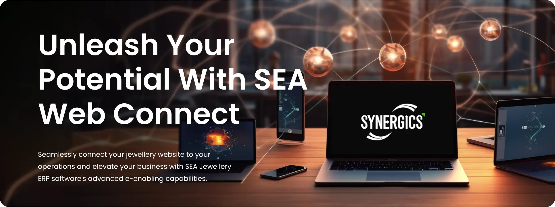 unleash your potential with sea web connect
