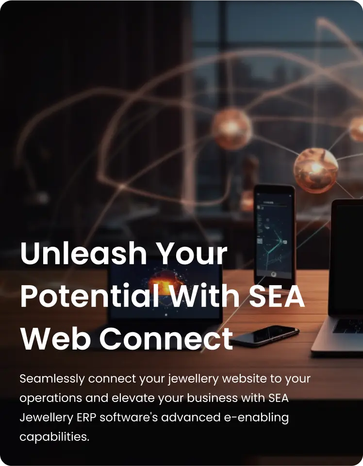 unleash your potential with sea web connect